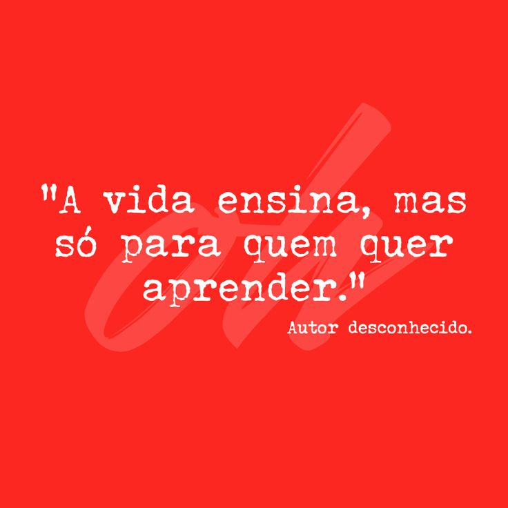 Joseane Assis tweet media