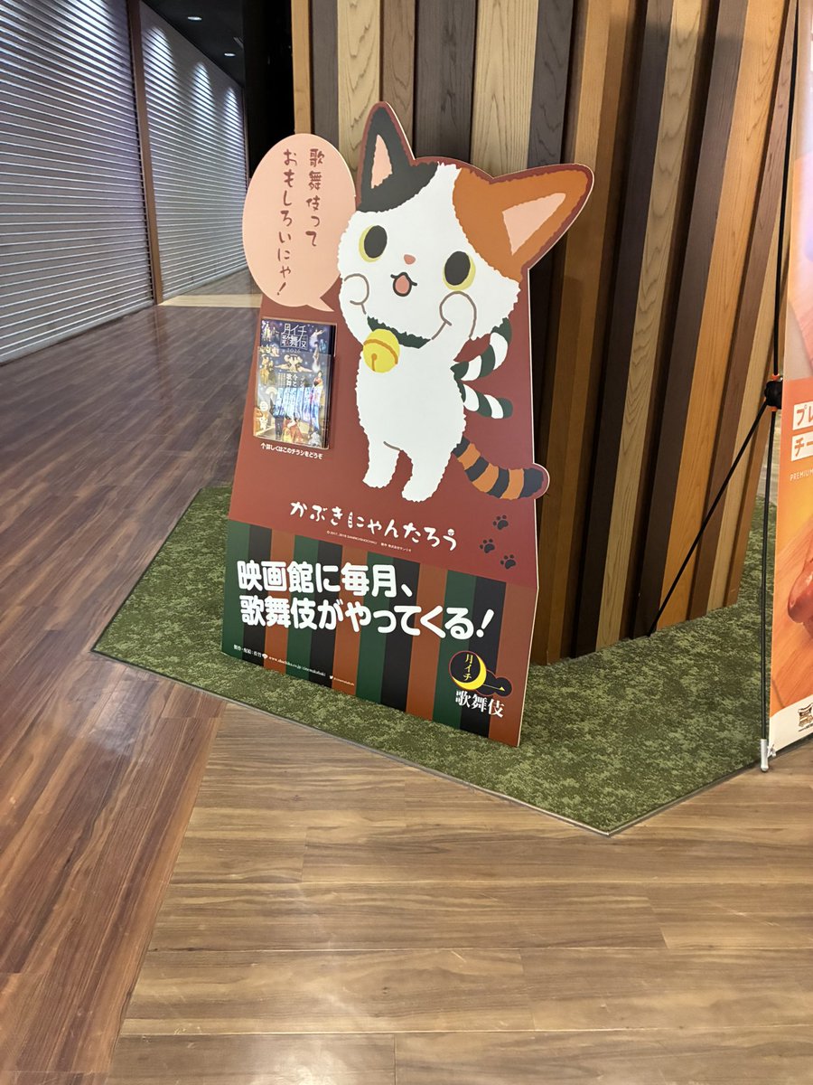 秋波蝙蝠 tweet media