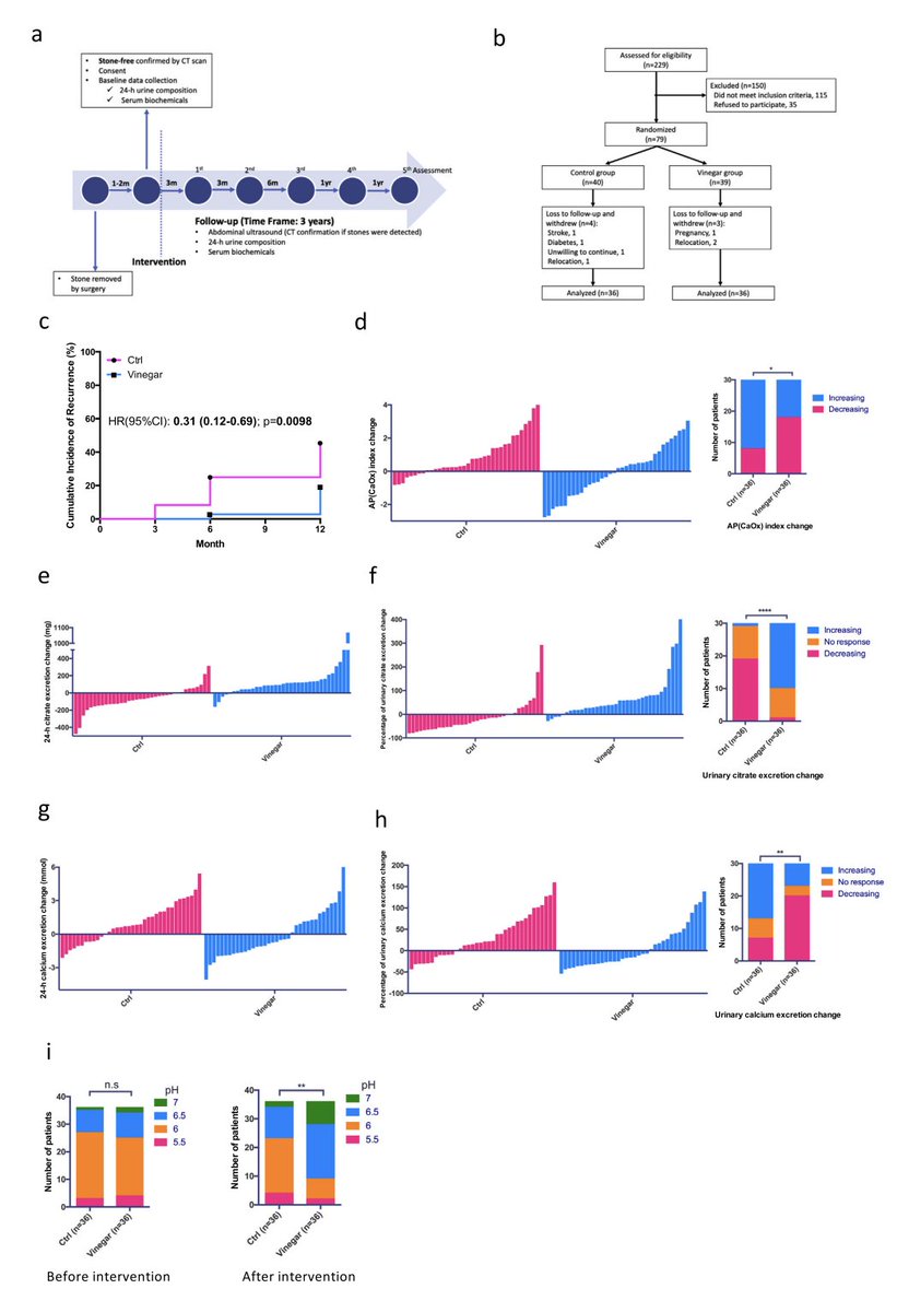 Dalton (Analyze & Optimize) tweet media