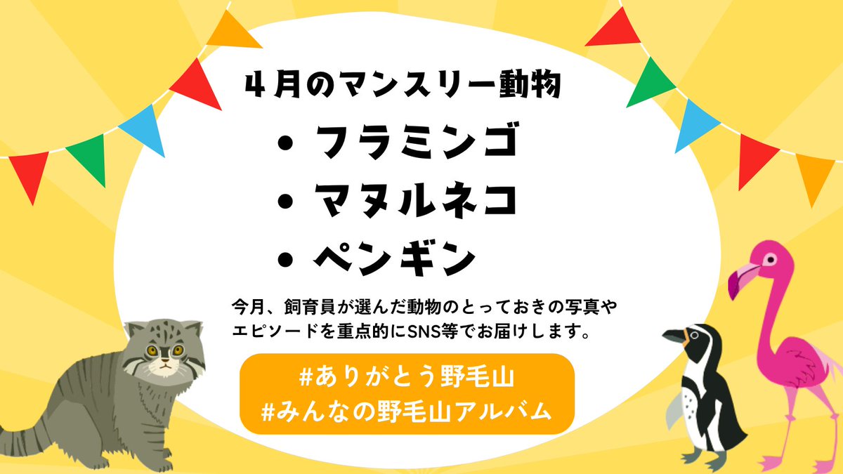 横浜市立野毛山動物園≪公式≫ tweet media