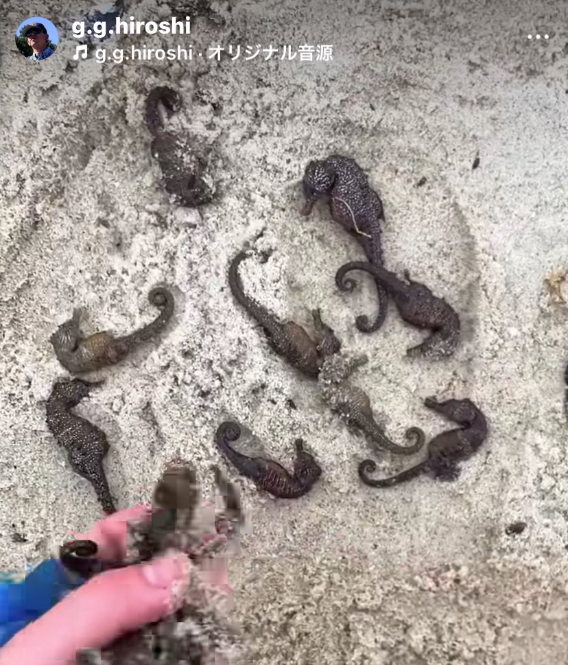 マチュカ・バー tweet media