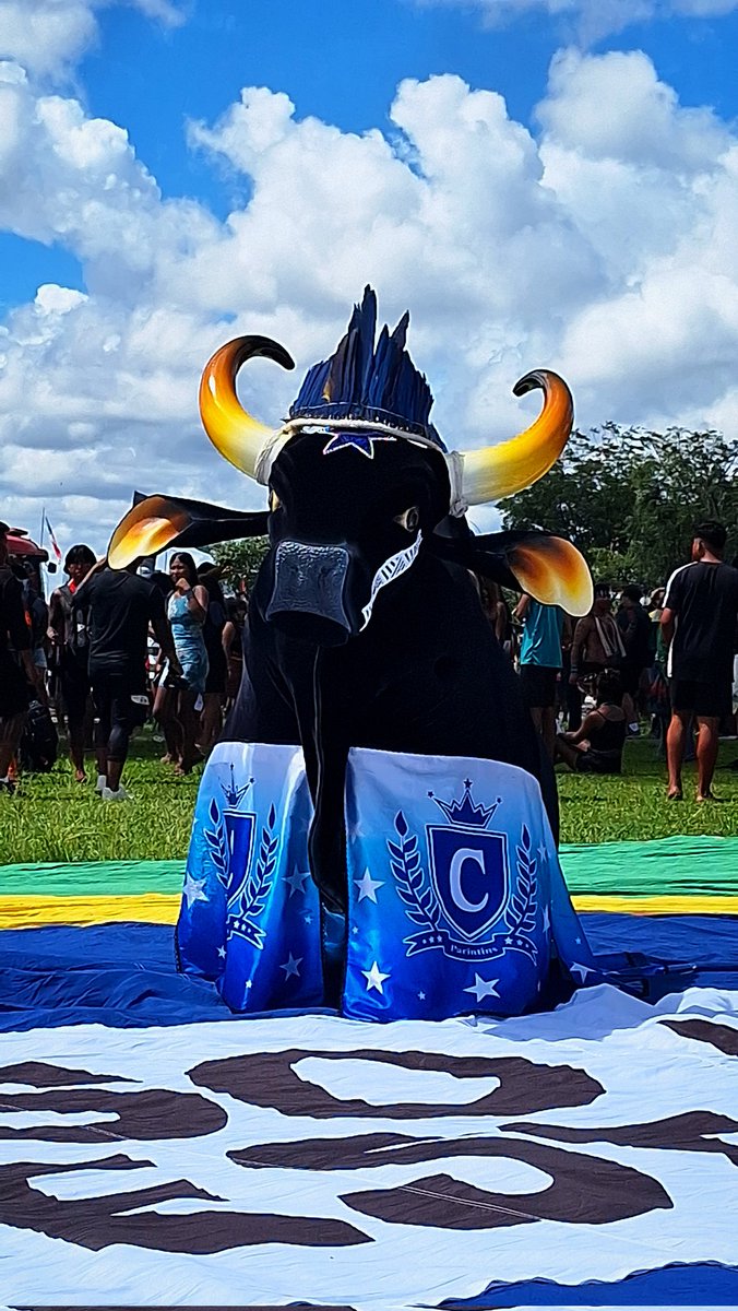 Matheoo Cid 🪇🌊 tweet media