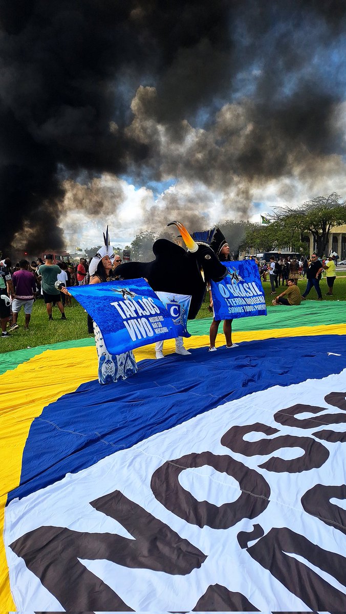 Matheoo Cid 🪇🌊 tweet media