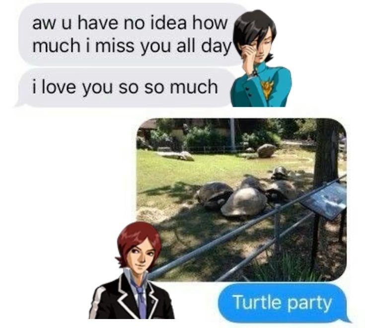 торчик tweet media