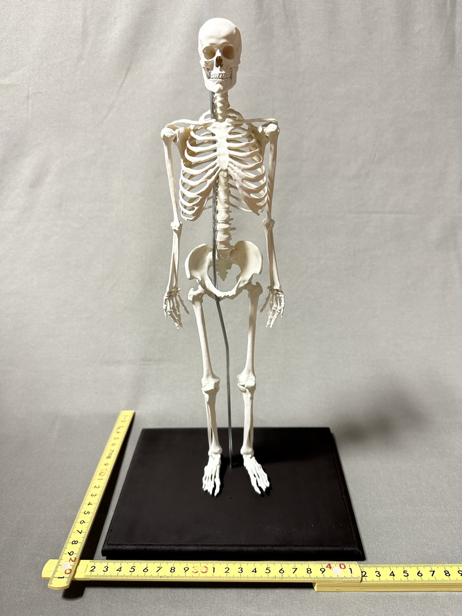 アンフィ合同会社 tweet media