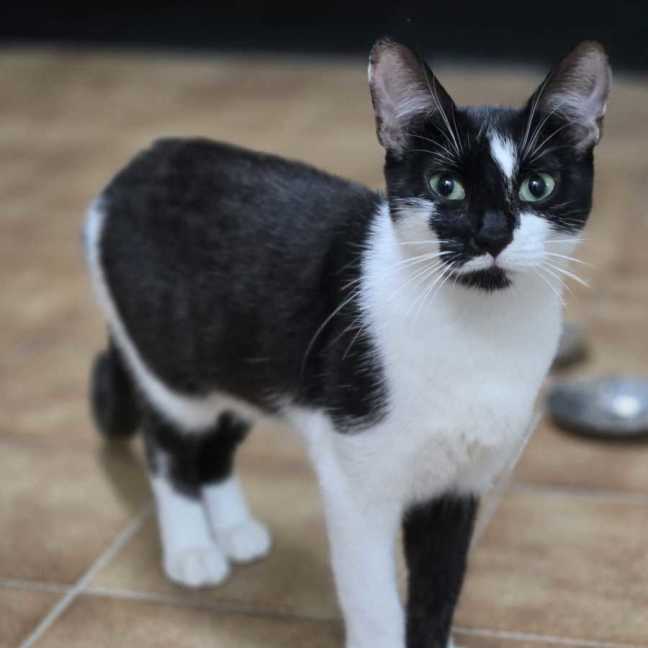 OMK Rescue tweet media