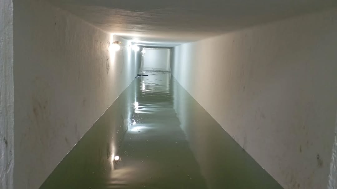 ALEXANDRE LINCOLN tweet media