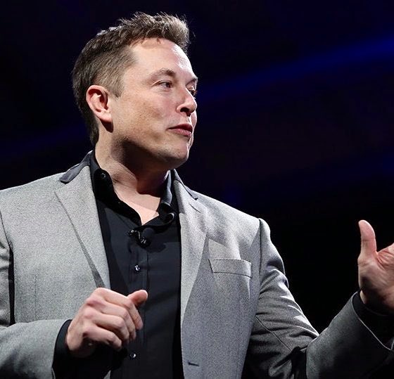 Not Elon Musk tweet media