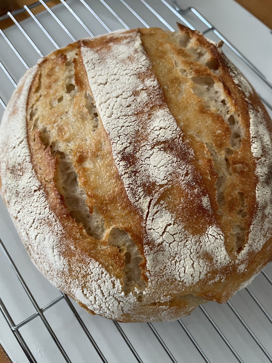 Kaori@NZ🇳🇿ニューアース案内人 tweet media