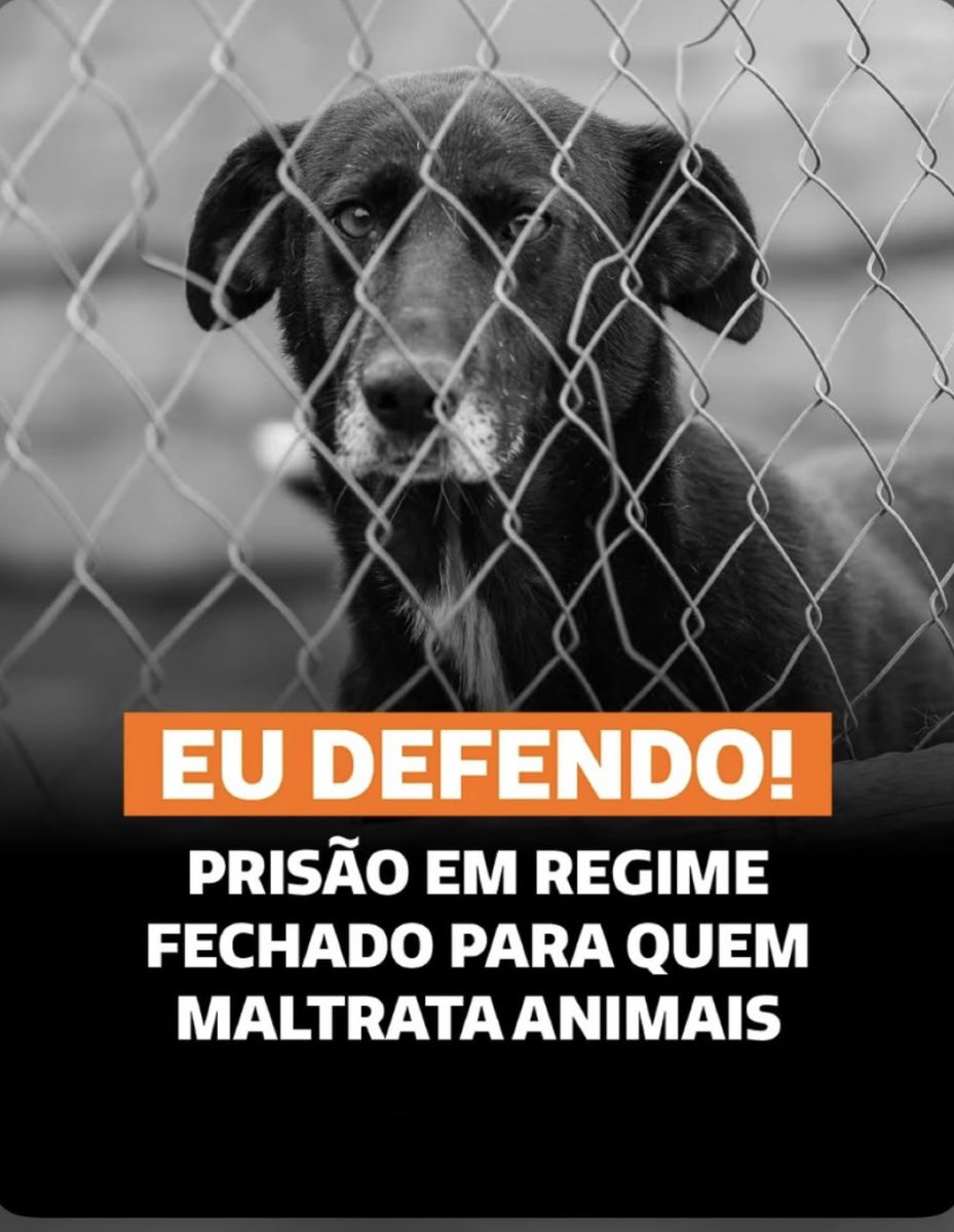 Marco Valverde ® tweet media