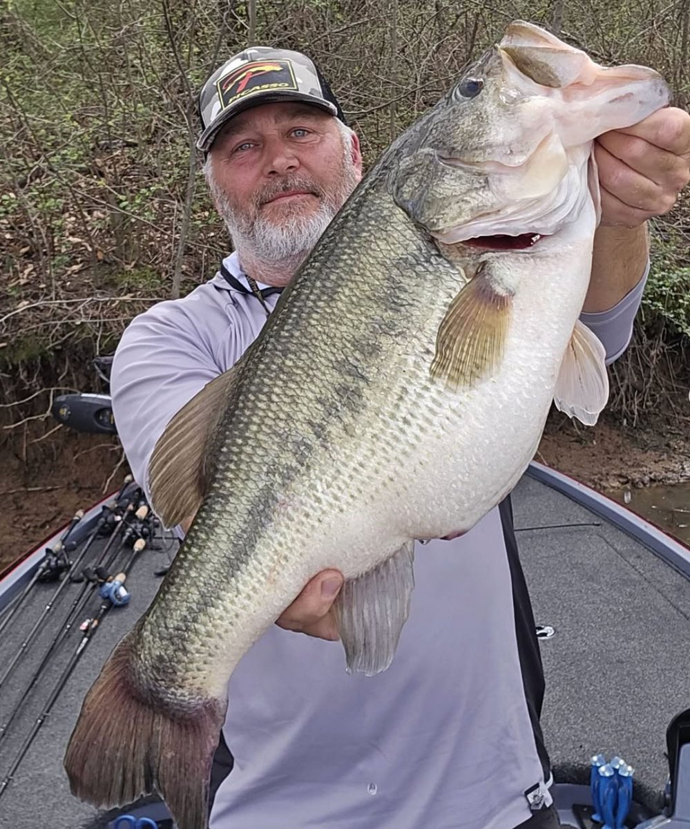 Just a C-Lection of some shots from today's BassBlaster email! ➡️ bit.ly/BBApr072026
Sign up to get all the 🧃 delivered to your inbox! 😃
And btw that melonius bass was caught in MISSOURI! 🤯
#bassfishing