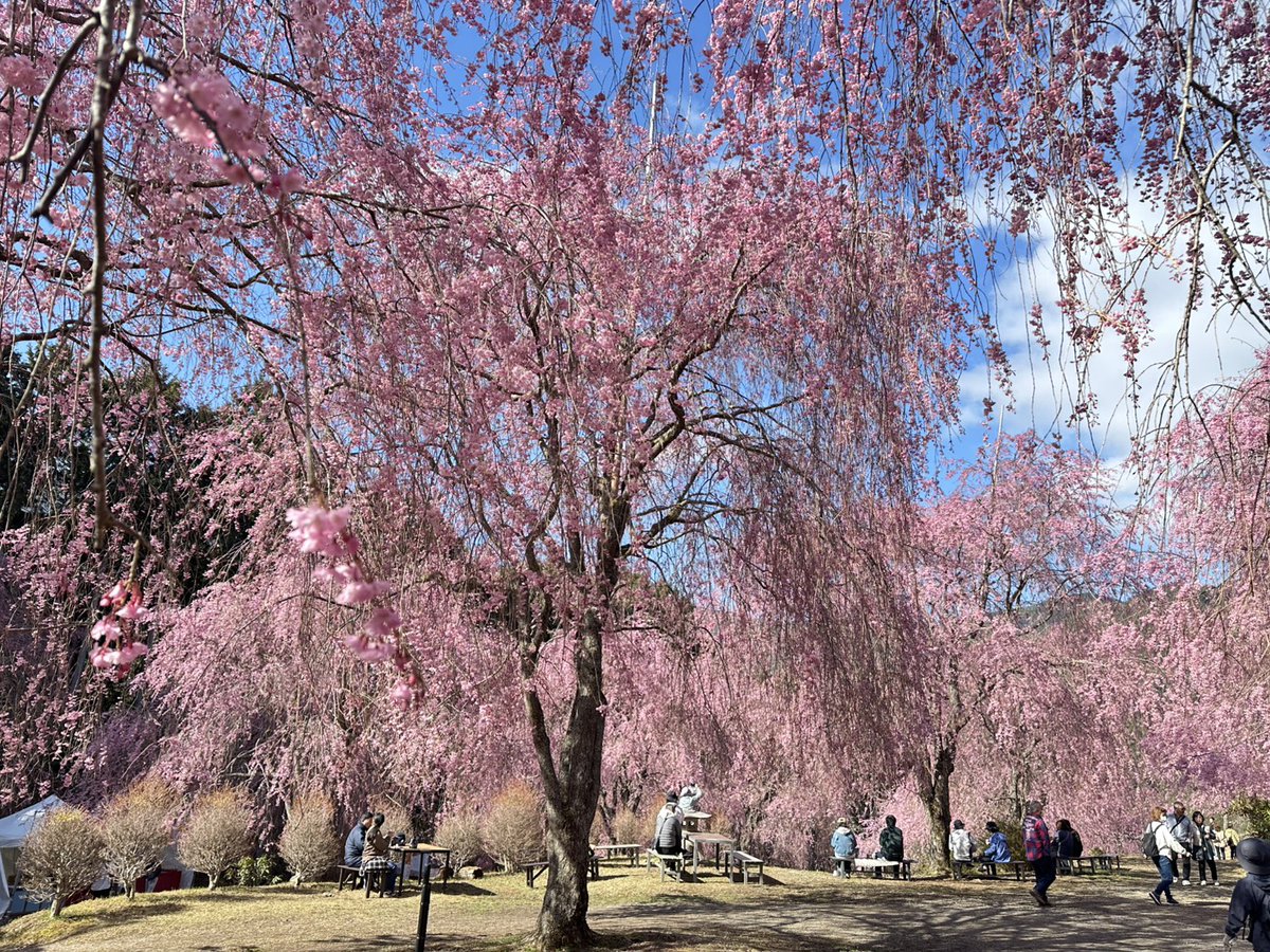 高見の郷 tweet media