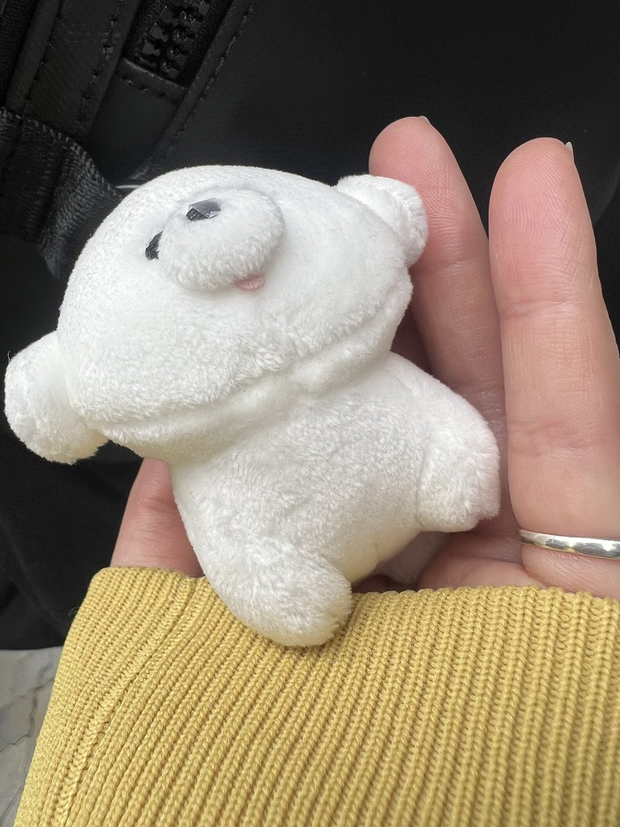 こめちゃんがとっても可愛いペットを飼い始めてた