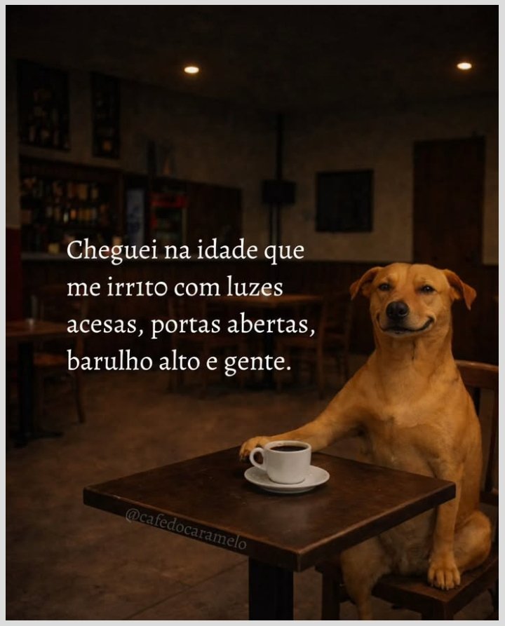 teu caos (@sobreteucaos) on Twitter photo 