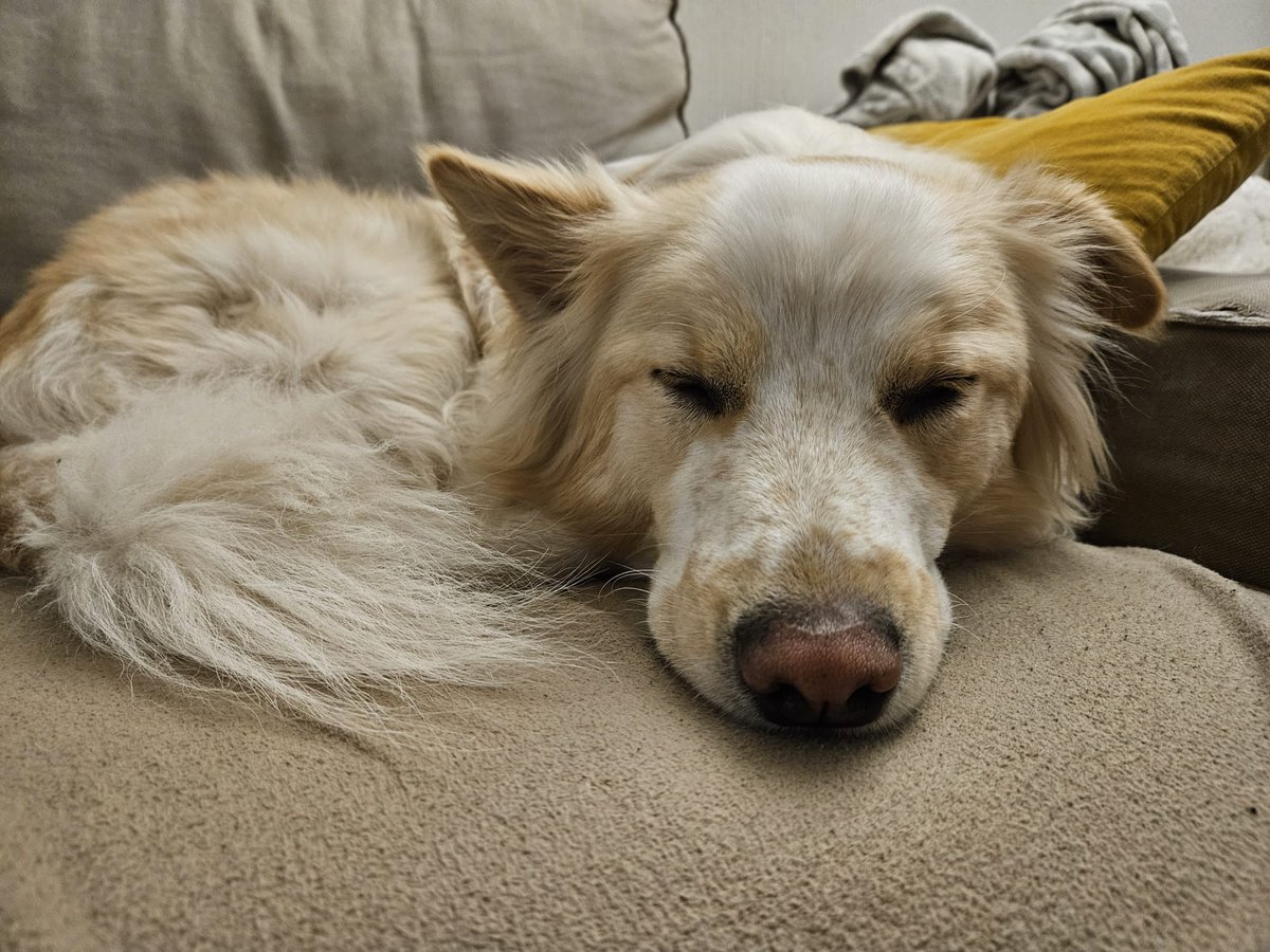 Erwin_fka_THO tweet media