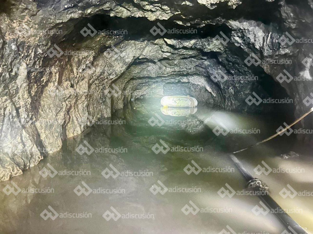 EJÉRCITO, FUERZA AÉREA Y GUARDIA NACIONAL México tweet media