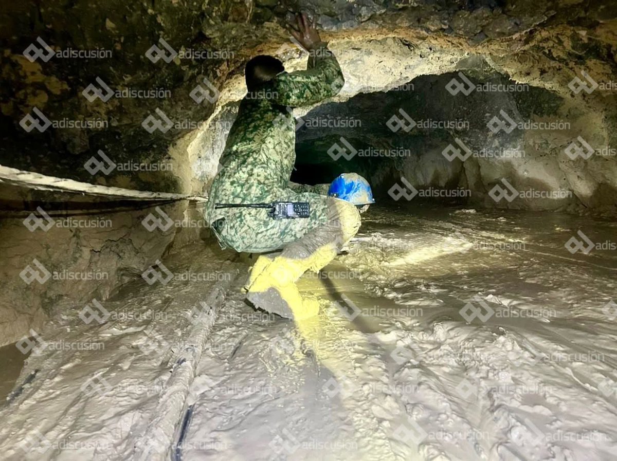 EJÉRCITO, FUERZA AÉREA Y GUARDIA NACIONAL México tweet media