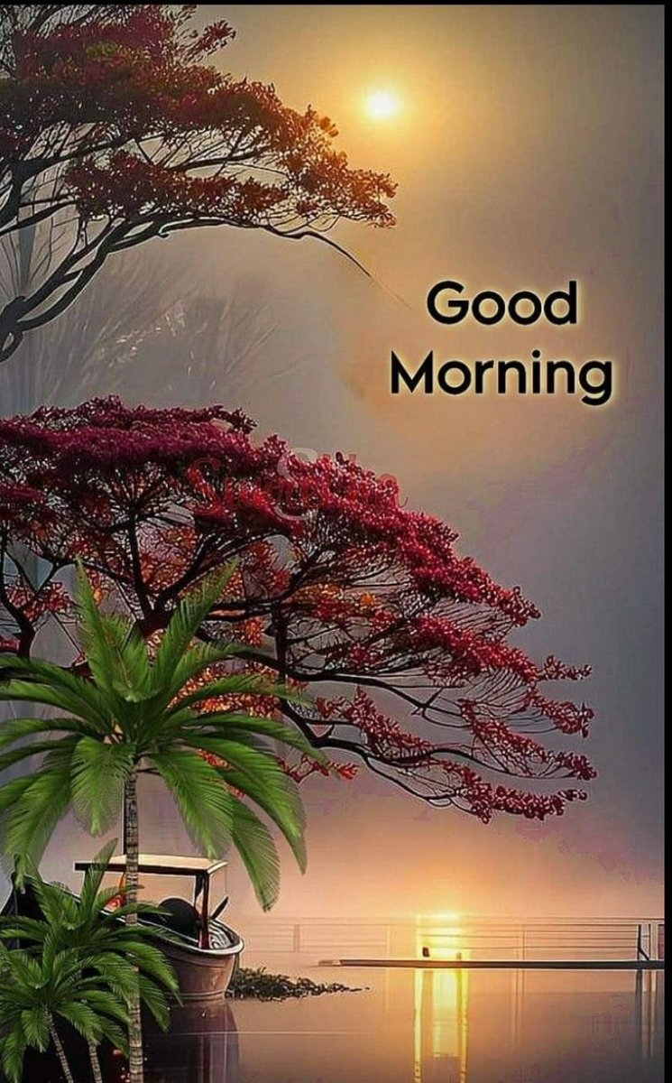 anilya550's tweet image. Good morning

Stay positive, stay focused, and let your actions speak today. 

#morning