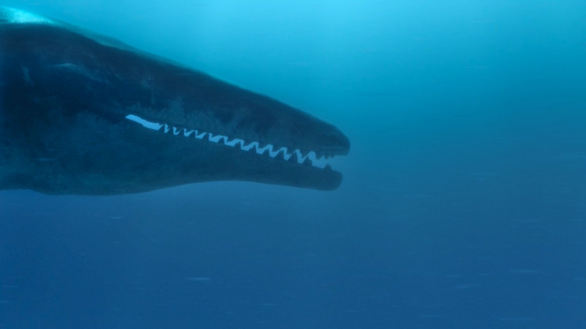 raftingzalmoxes's tweet image. #LifeOnOurPlanet #TheDinosaurs
'Why is this the first time I've seen a mosasaur look PURE EVIL?' -- Dr. James G. Napoli