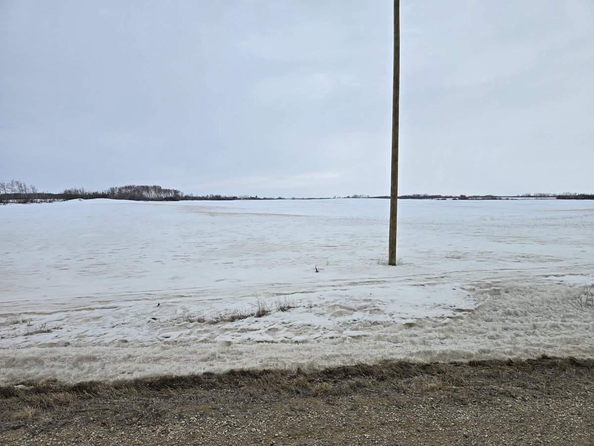 Chuck Deluxe tweet media