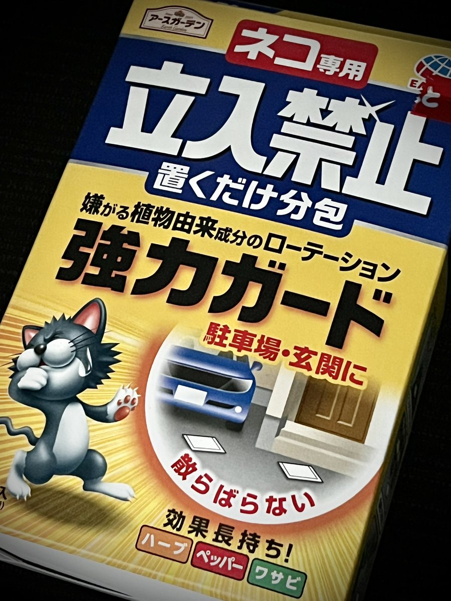 りゅあら@沖縄 tweet media