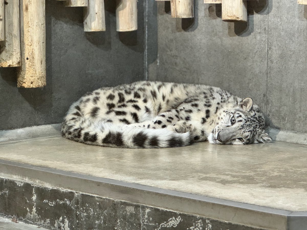 Ajax ⚣ tweet media