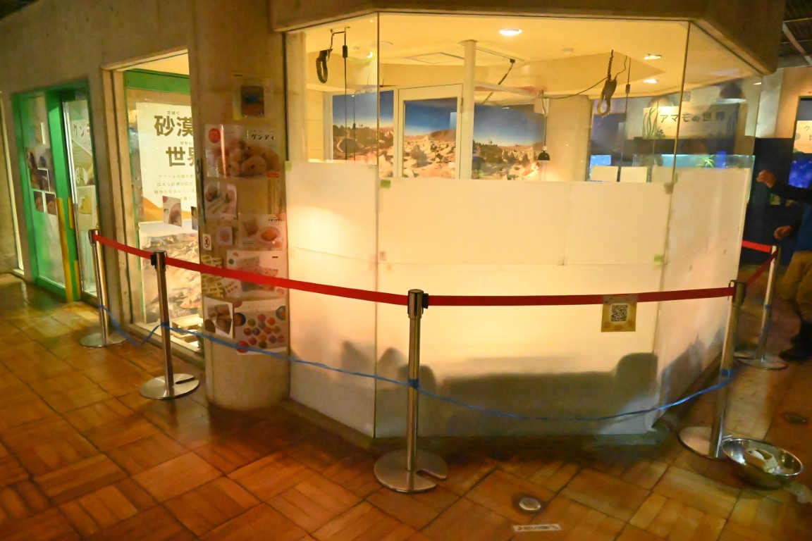 足立区生物園 tweet media