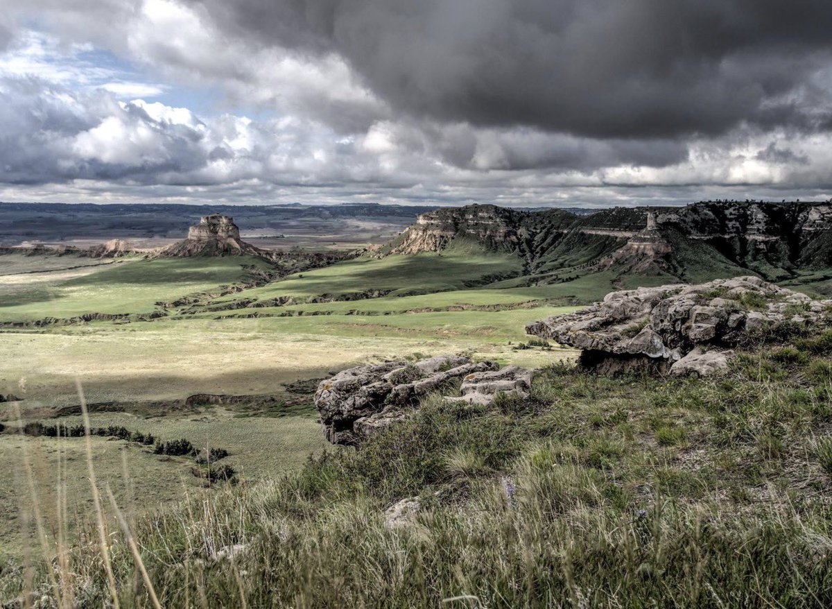 Adam Ford tweet media