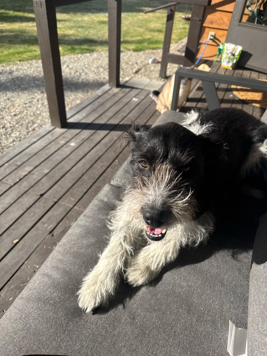 Patience tweet media