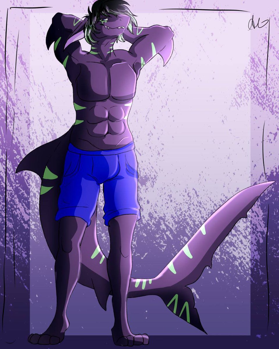 1800 SHARK 4U tweet media