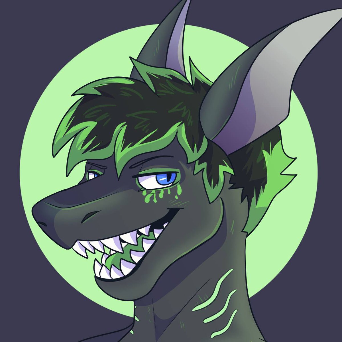 1800 SHARK 4U tweet media