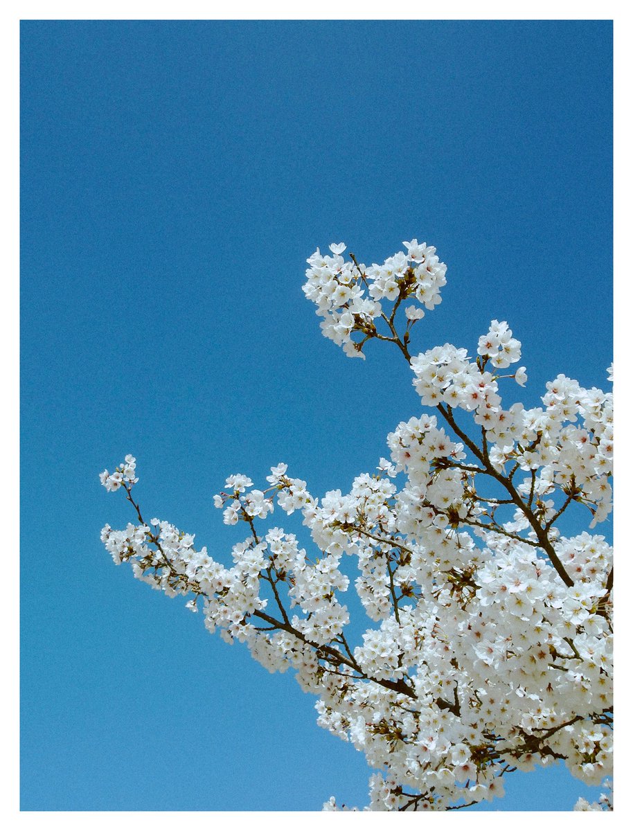 🧭☁️SILVER٩(๑❛ᴗ❛๑)۶ tweet media