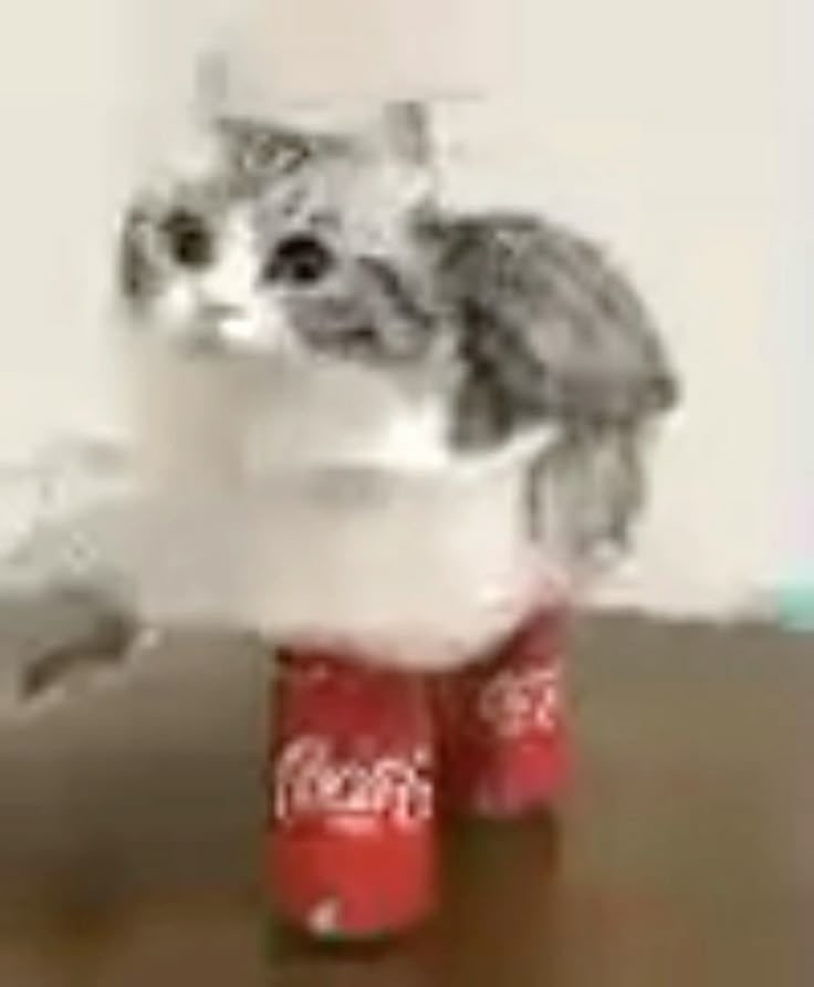 ᙅꙆoωᥒᙏᥱᥲt {Comms closed} tweet media