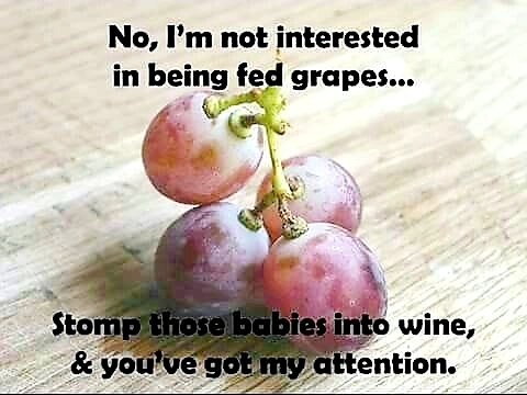 wineworldnews's tweet image. That's exactly how it is right 😂🍷👍🍷 #wine #winelover #winelovers #wineworldnews