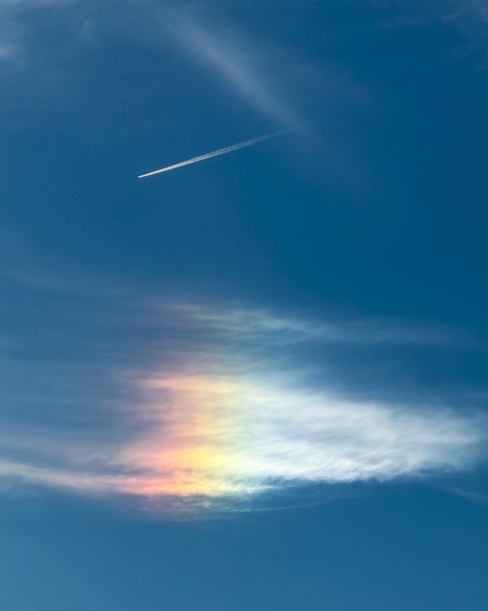 All Things Emerald Coast tweet media