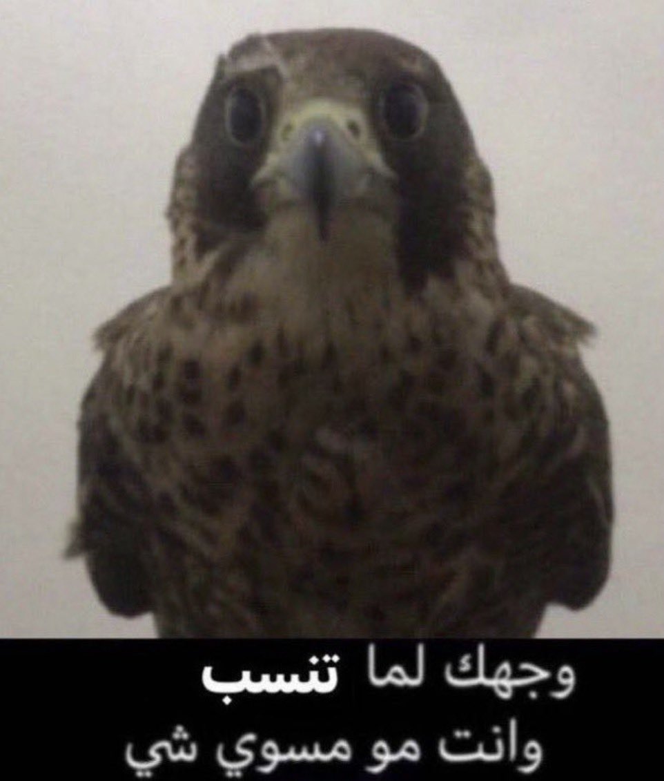 𝐅𝐀𝐘✦‏ tweet media