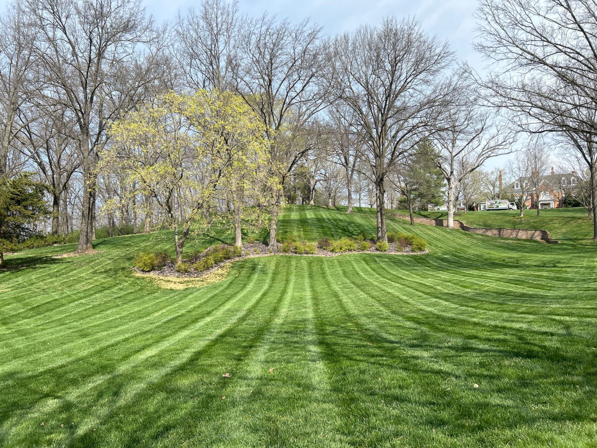 Beautiful results come from experienced hands and disciplined care.