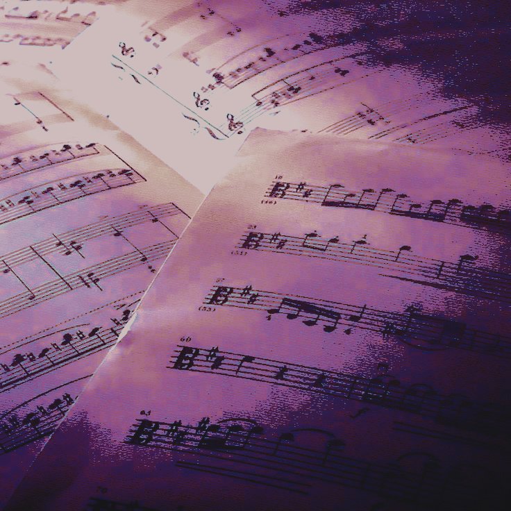 𓂃 ࣪ ˖ ִֶ ཐི༏ཋྀ󠀮ᅟ▌ᅟ𝕱 A͟ E 𝔅 E L L S tweet media