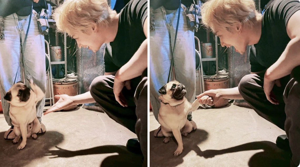 マルチリンガル tweet media