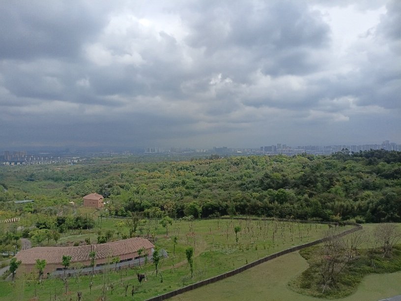 Gérard pringuez tweet media