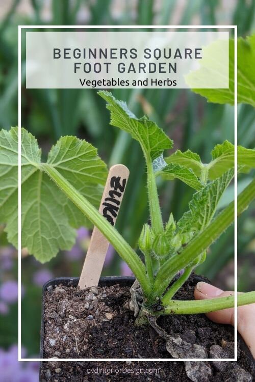 Deborah von Donop tweet media