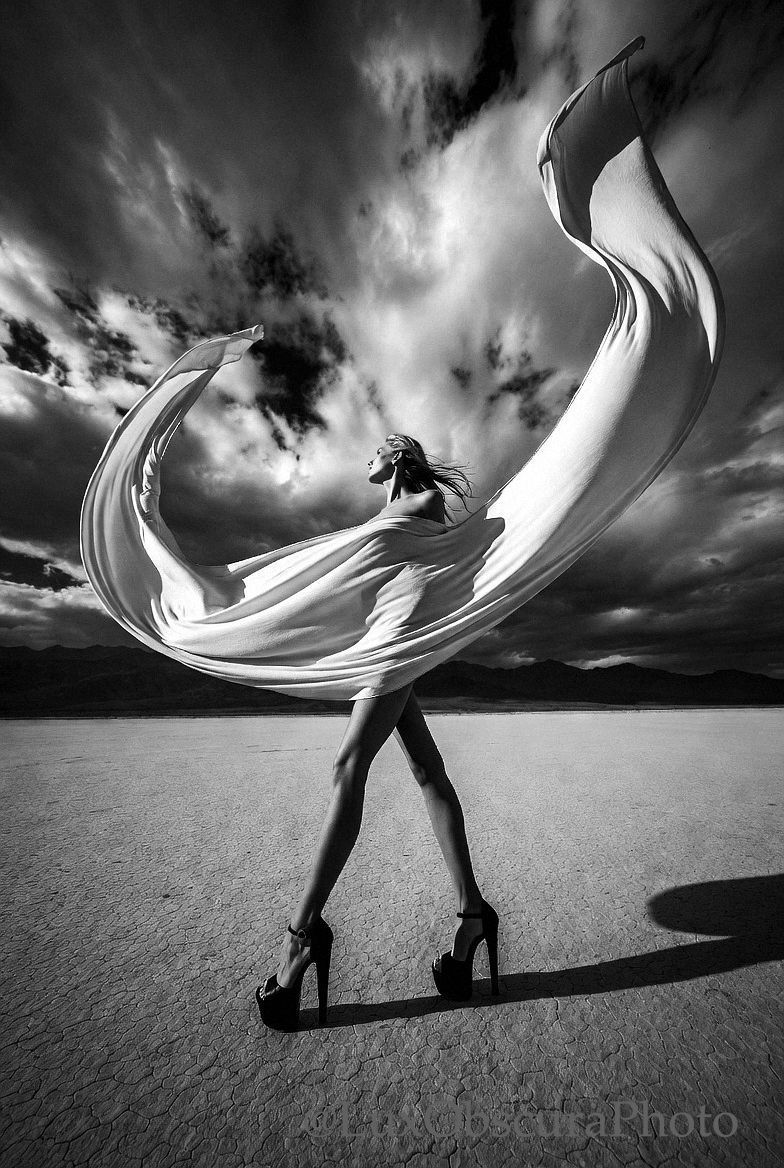 Lux and Obscura tweet media