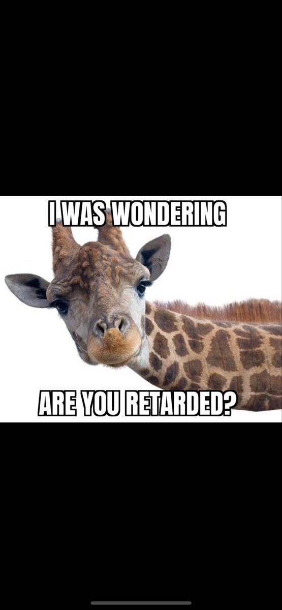 Ali Ibrahim tweet media