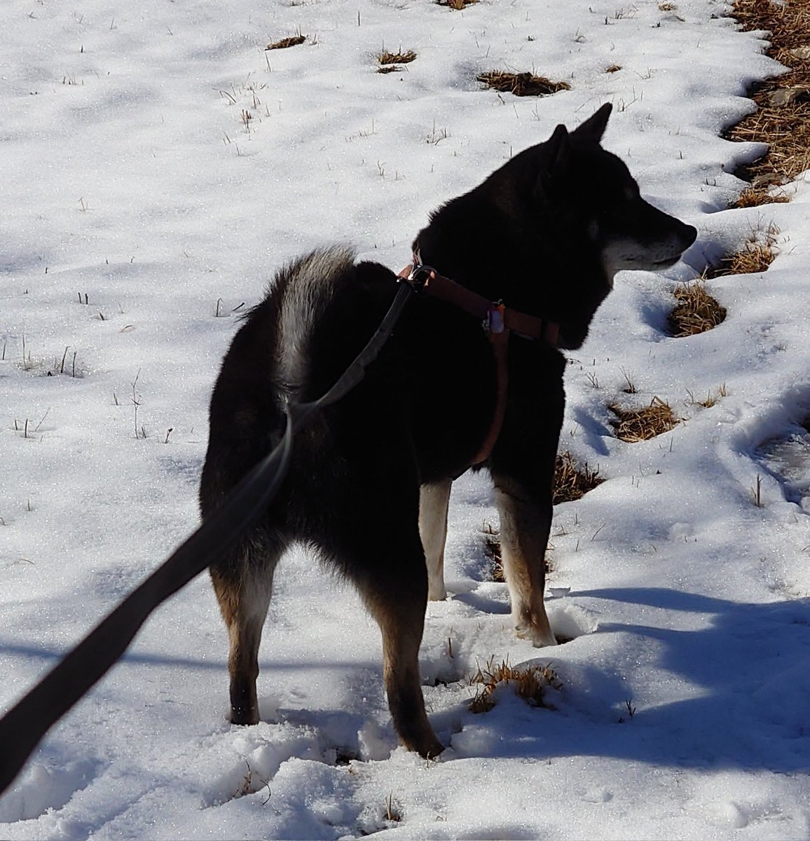 ちゃめ tweet media