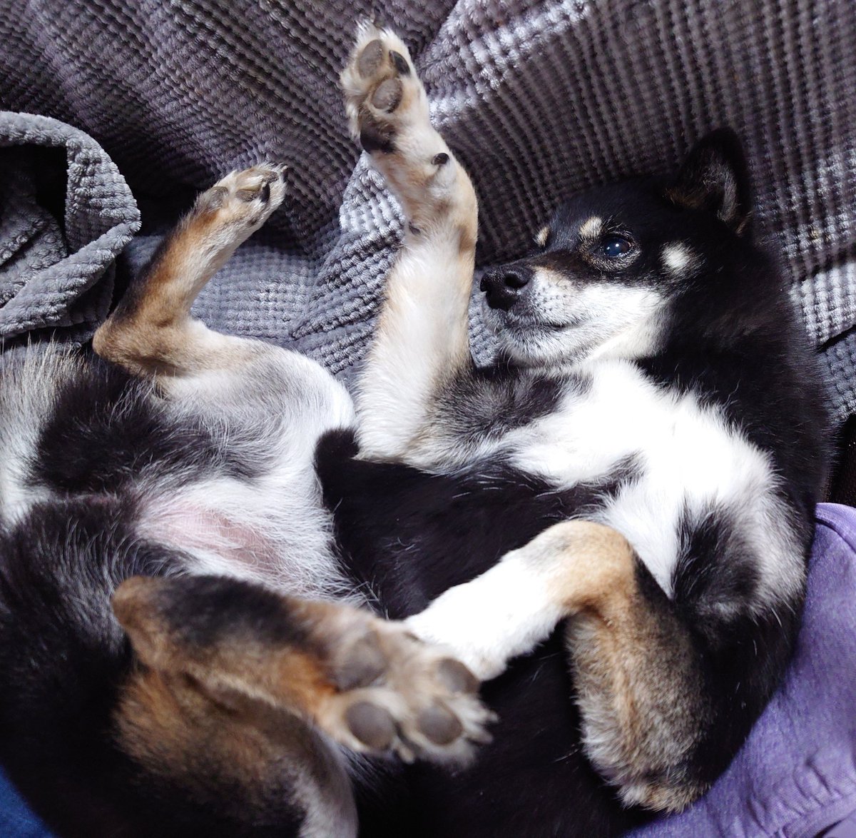 ちゃめ tweet media