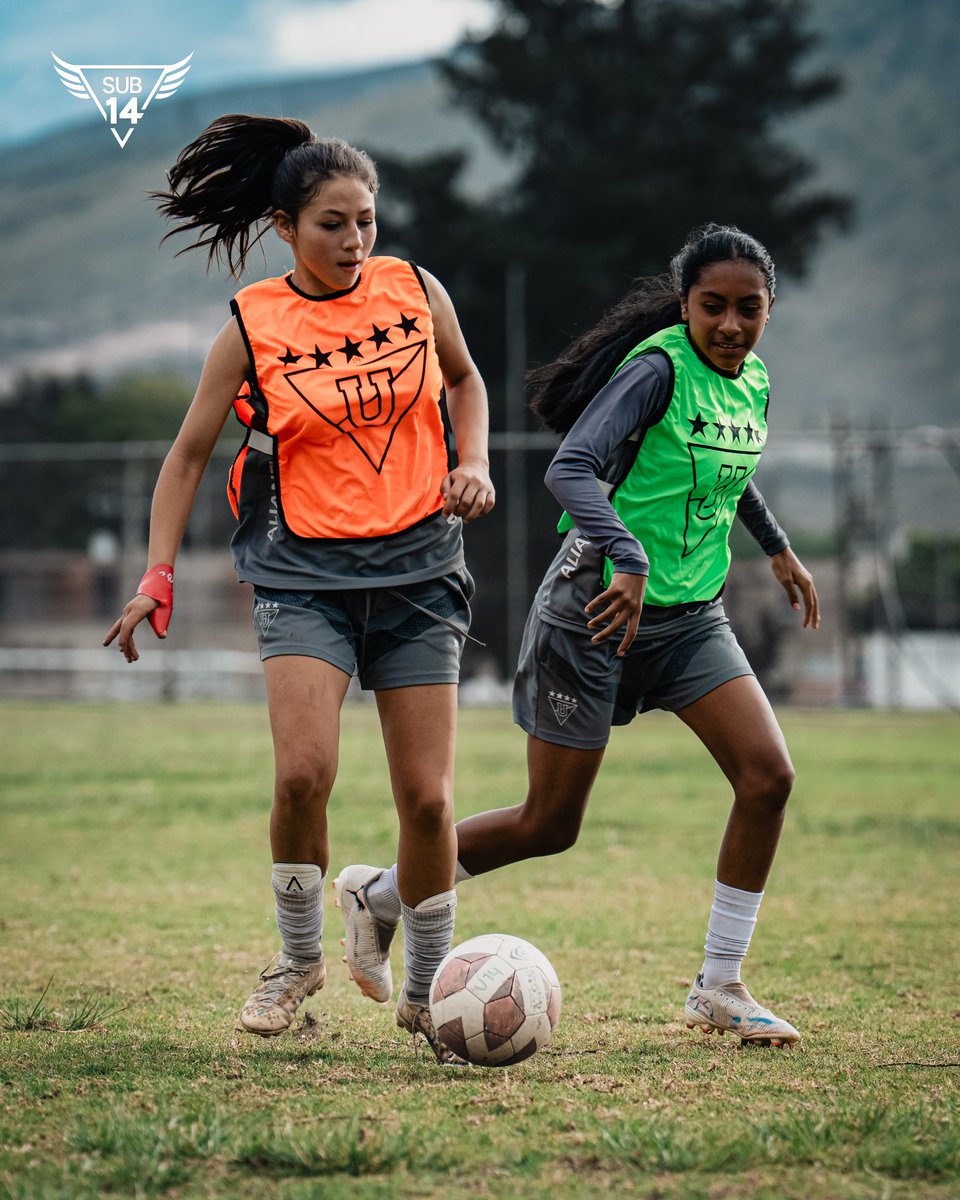 GuerrerasLDU's tweet photo. U14 | Semana de cuartos de final 🔛

#MiniGuerreras #VamosLIGA #FormativasLDU https://t.co/d7U6ikS4Ee