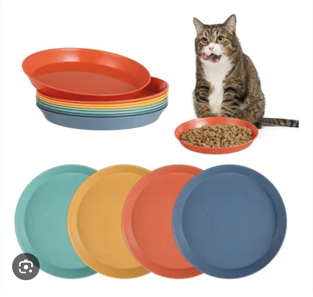 T'es con ou quoi ? 🇵🇸 tweet media