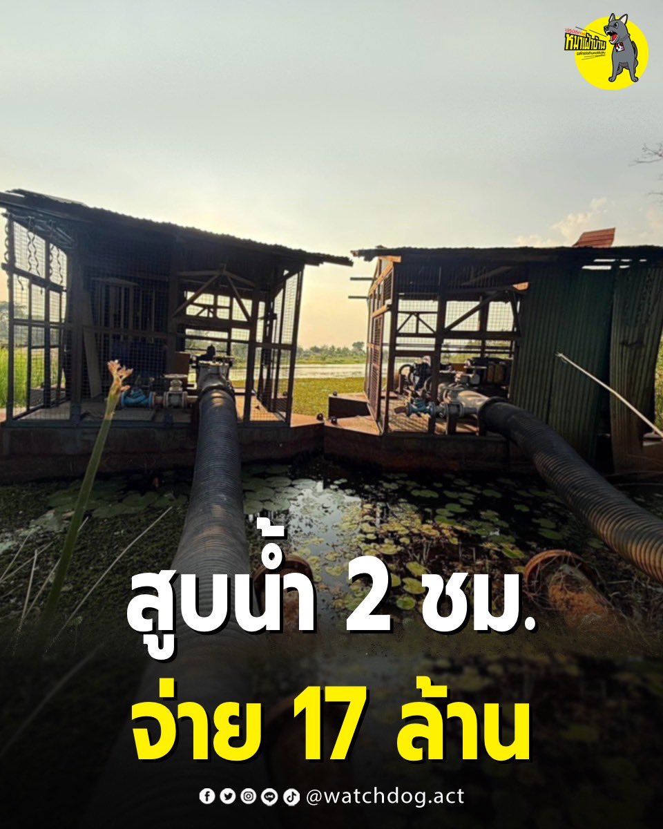 ปฏิบัติการหมาเฝ้าบ้าน tweet media