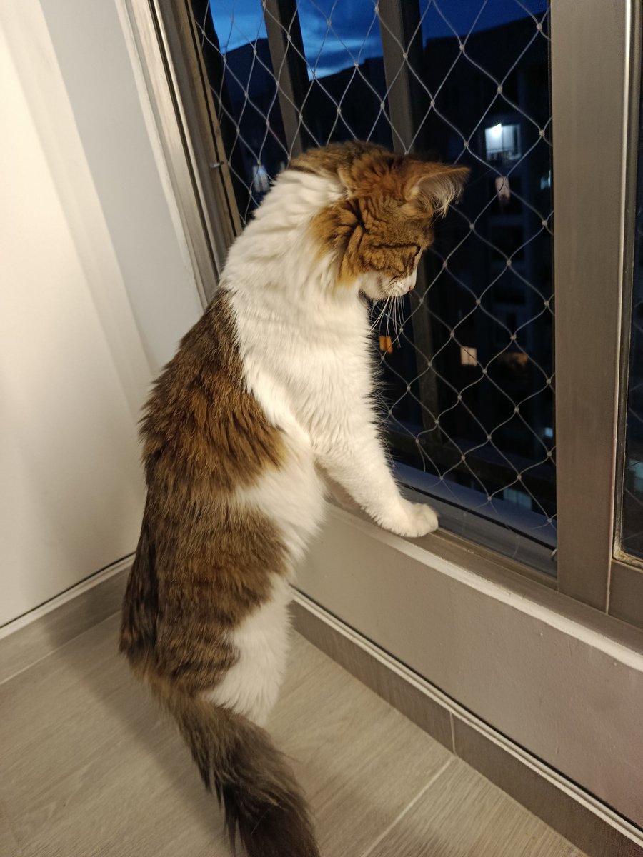 Oscar Pineda tweet media