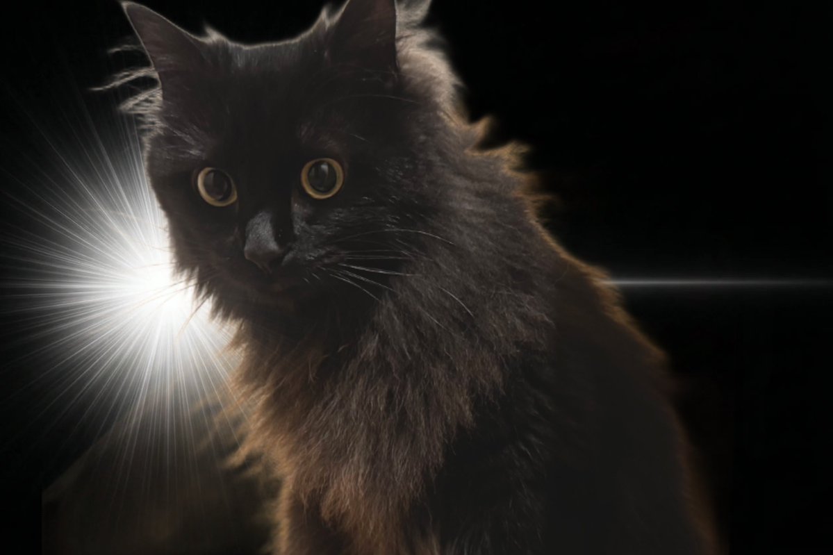 毎日面白い tweet media